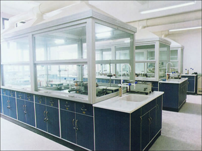 實(shí)驗(yàn)室通風(fēng)柜、毒氣柜